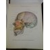 ATLAS DE ANATOMIE UMANA - SINELNIKOV - 3 volume - (in limba spaniola) ATLAS DE ANATOMIA HUMANA ATLAS DE ANATOMIE UMANA - SINELNIKOV - 3 volume - (in limba spaniola) ATLAS DE ANATOMIA HUMANA